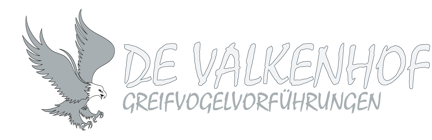 Valkenhof logo 2 BLAUW de